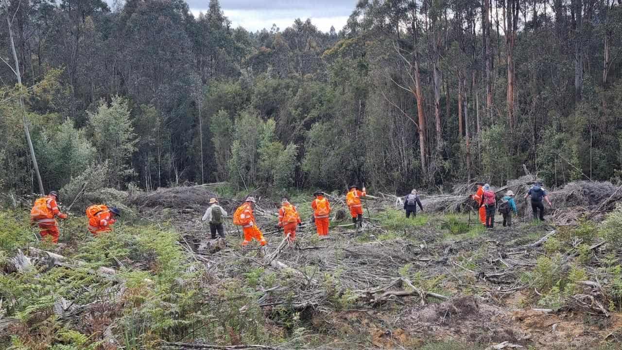 Renewed searches in missing bushwalker case