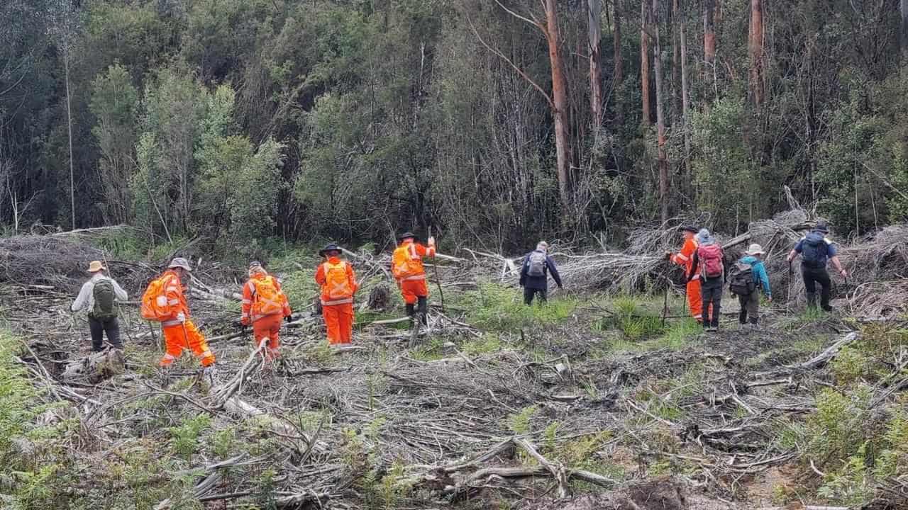 Renewed search for missing hiker fails to find clues