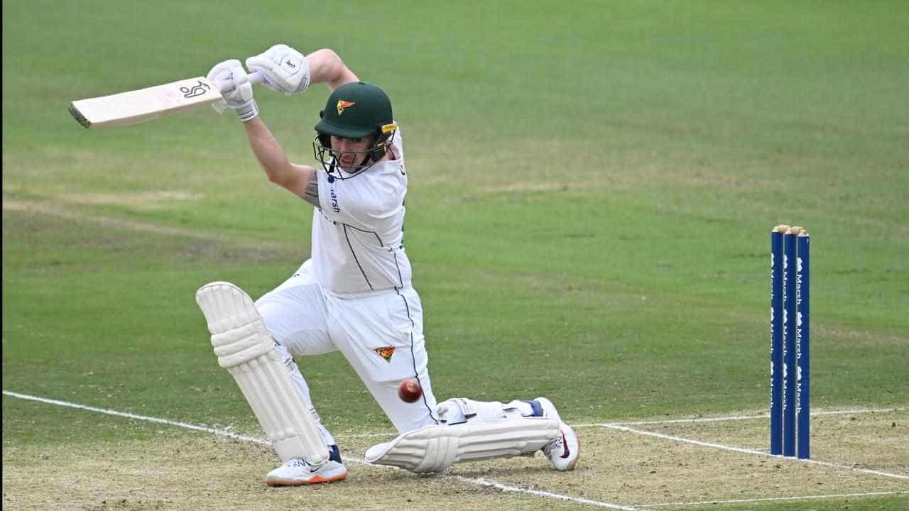 Three Tasmanian Shield centurions put NSW on the ropes