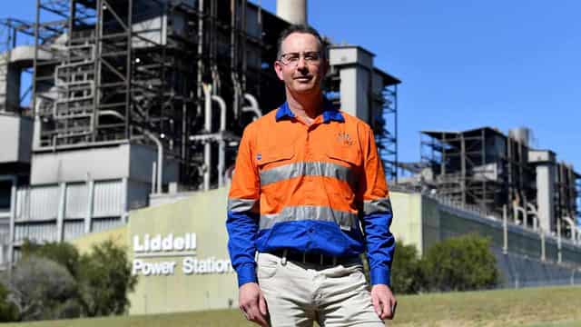 Largest emitter AGL battles delay, billionaire activist