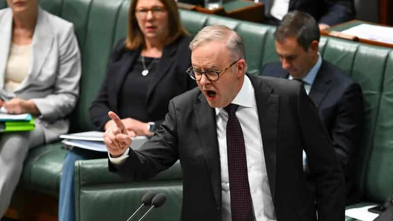 Albanese spruiks Labor achievements at term mid-point