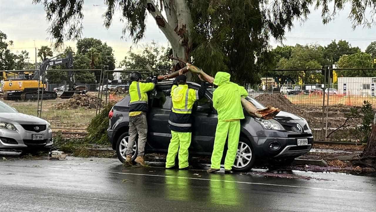 Wild storms bring floods, felled trees, Free Willy