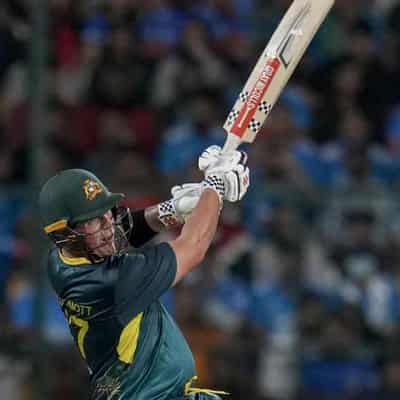 Defeated Aussies lap up T20 tour of India