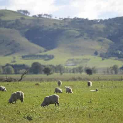 Drier conditions to drive down agricultural production