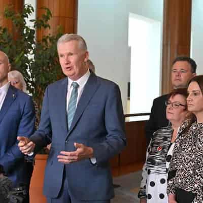 Workers win extra protection as Labor seals Senate deal