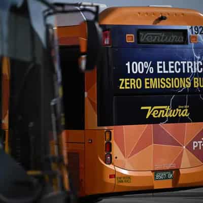 Electric buses to drive tourism in Far North Queensland