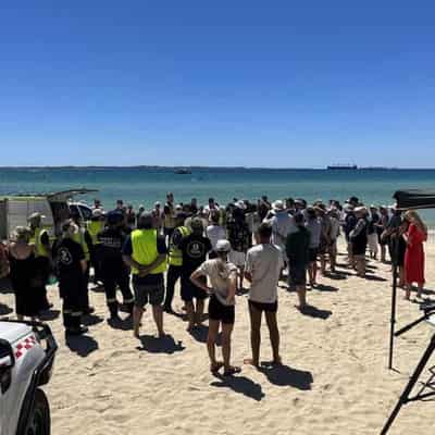 Stranded 30-tonne sperm whale dies at WA beach