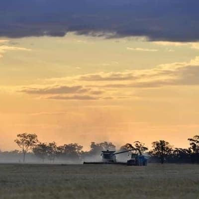 Rural Australians 'crying out' as health gaps revealed