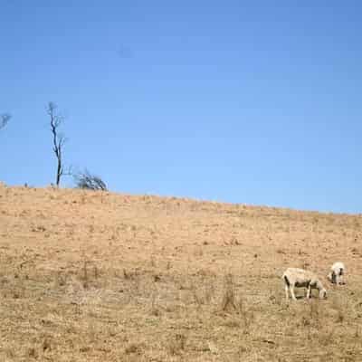 Rural Australians dying earlier, from avoidable illness