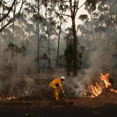 Aussie film shows global warming is changing childhood