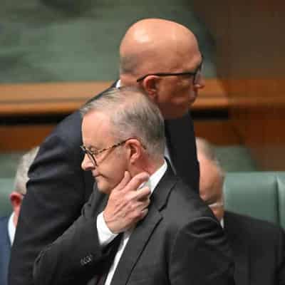 PM, Dutton share Christmas rise in approval: Newspoll