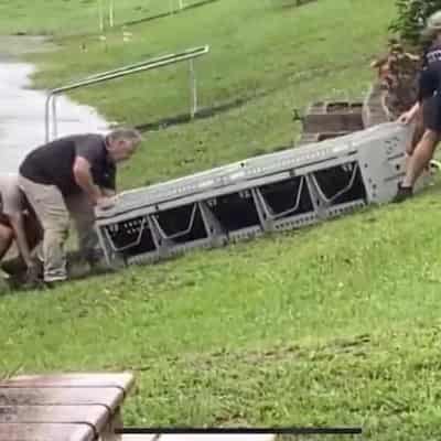 Crocodile captured swimming in Queensland floodwaters