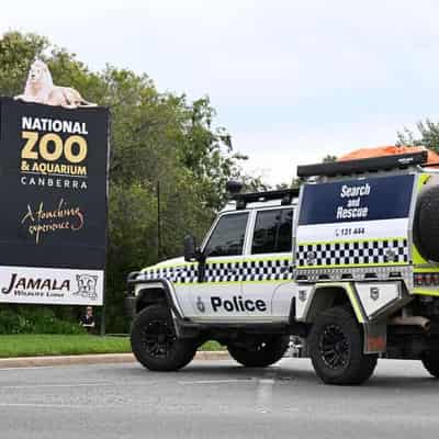 Screams heard as woman fatally stabbed in Canberra zoo