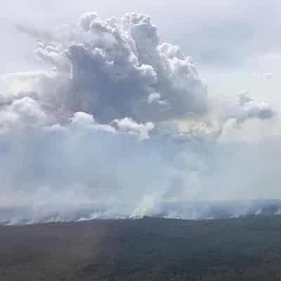 Rain brings relief to NSW fire grounds but risk remains