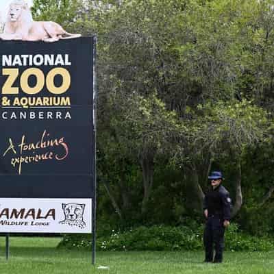 Man charged with murder over fatal stabbing at zoo