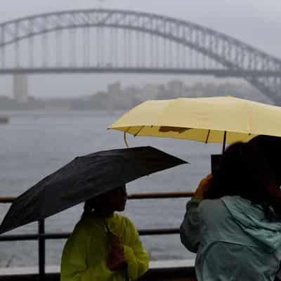 Hundreds of calls for help as storms blanket NSW