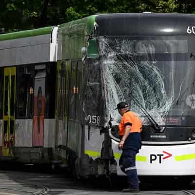 Probe tracks down signal fault in city trams collision