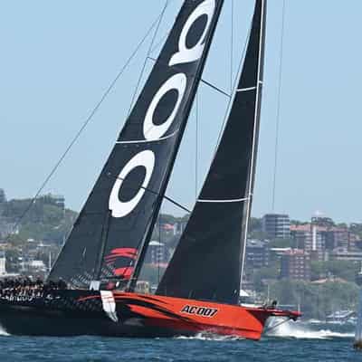 Comanche backed for Syd-Hob defence in any weather