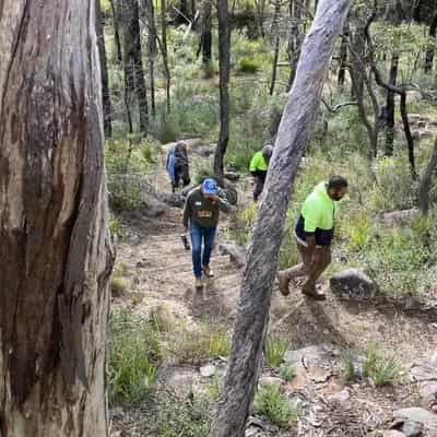 Cultural burns help to protect country from bushfires