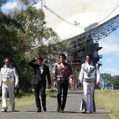 Everybody let's rock, as Elvis returns to rural NSW