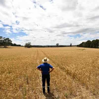 Warning system could save farmers millions of dollars