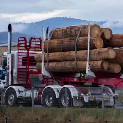 State bans commercial logging of native forests