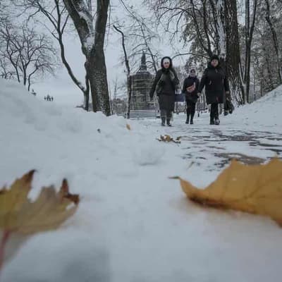 Opposition backs coal shipment for Ukraine power supply