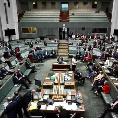 Albanese calls for MPs to stay in parliament longer