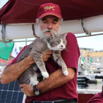 Feline good: ordinary moggie Oli finishes Sydney-Hobart