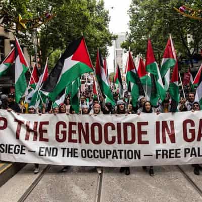 Australia urged to support genocide case against Israel