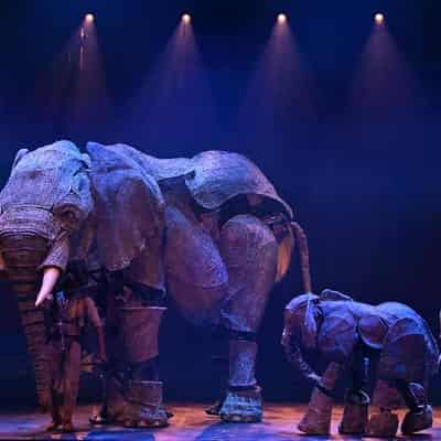 Circus flips into Melbourne with elephants and acrobats