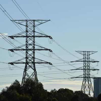 'Backbone' of electricity grid facing industrial action