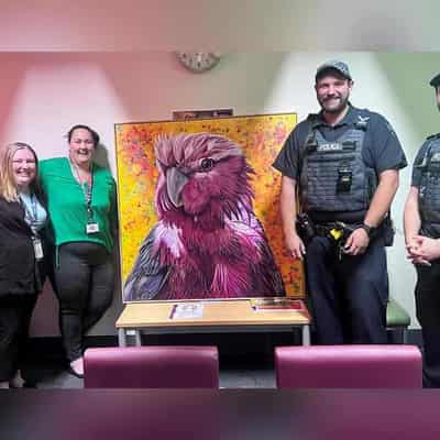 Wally the Galah reunited with relieved hospital staff