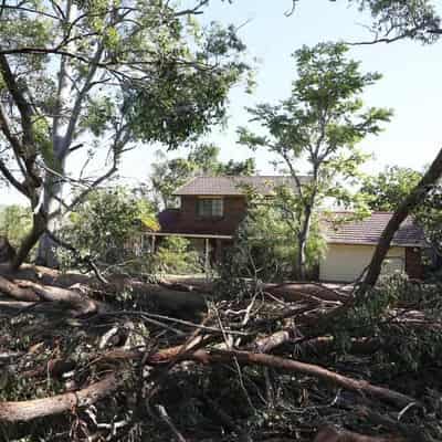 Power back on at 125k Queensland homes after wild storm