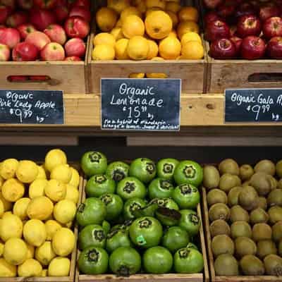 School meals on the menu to boost children's health