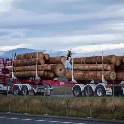 Alcoa mine clearing to supply scarce WA hardwood timber