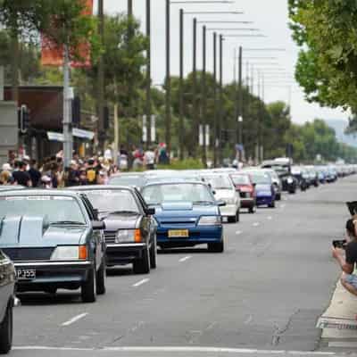 Police investigate Summernats brawl involving security