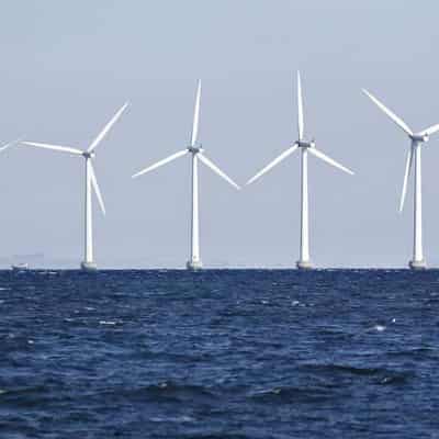 Wetlands trump offshore wind port despite energy push