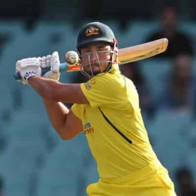 Game not up for Stoinis despite his ODI axing: Bailey