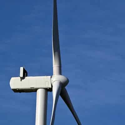 Labor committed to wind power after project blocked