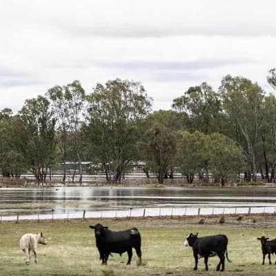Flood threat persists as weather forecast offers relief