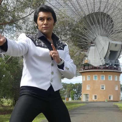 Fast as a snake, Elvis acts use their animal instinct