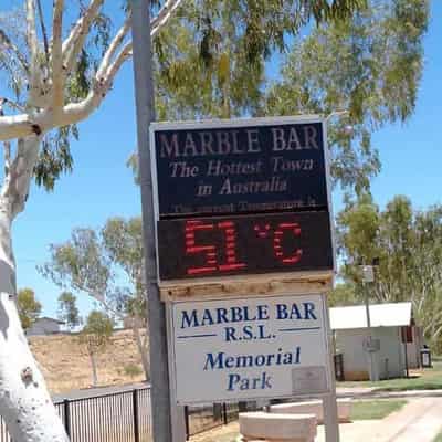 Birds drop from trees as temperatures soar in outback