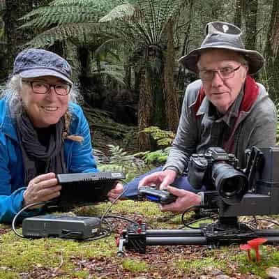 Documentary unearths wonders of Australia's fungi