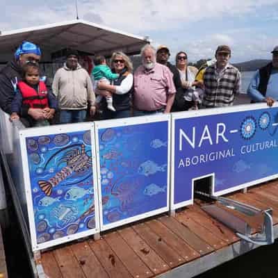 Joonga crew provides some pointers for shark management