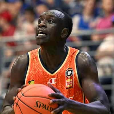 Brave Snakes strike late to replace Hawks in NBL six