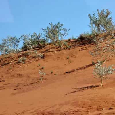 WA swelters with the Pilbara forecast to reach 50C