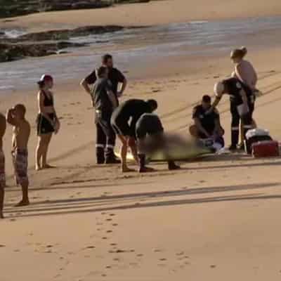 Indian national, three others killed in island tragedy