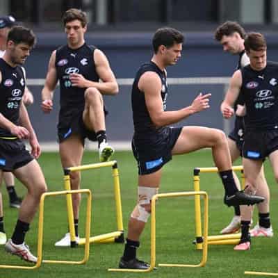 Carlton's Silvagni to miss AFL season after knee injury