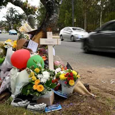 Call to reveal more data amid grim road deaths tally